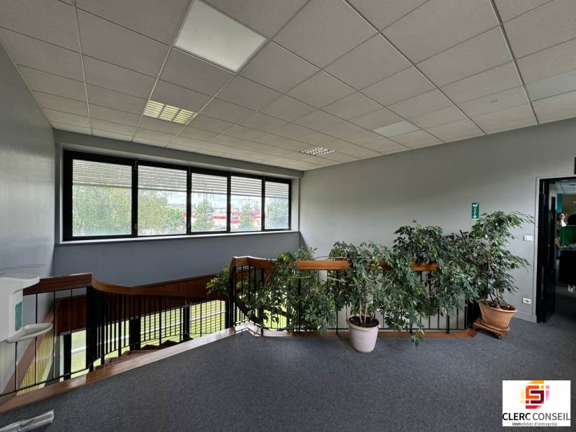 Location - Local d'activité 4200m² - Sotteville-lès-rouen