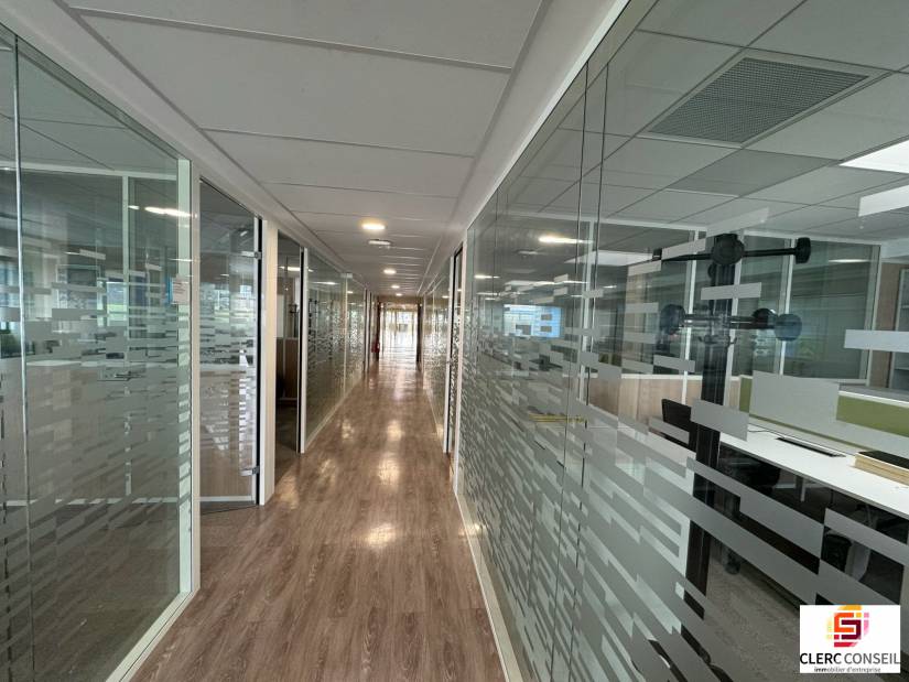 Location - Bureaux 1647m² - Mont-saint-aignan