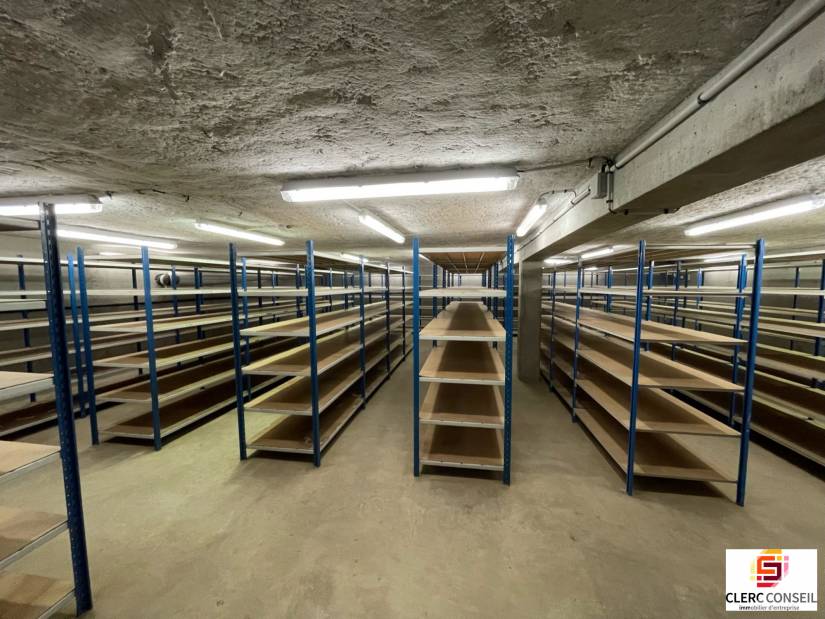 Location - Local d'activité 169m² - Bois-guillaume