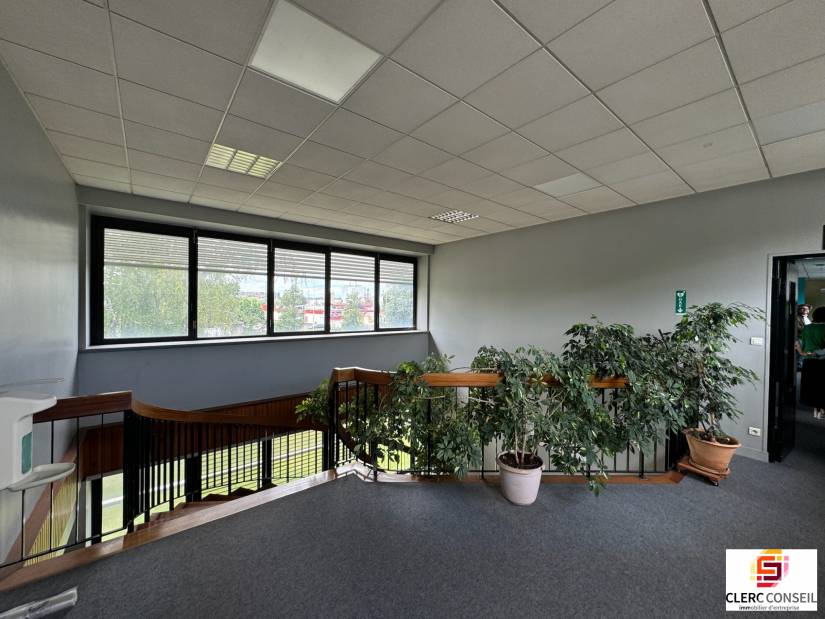 Location - Local d'activité 4200m² - Sotteville-lès-rouen