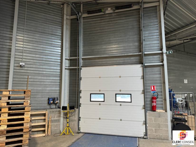 Location - Local d'activité 4200m² - Sotteville-lès-rouen