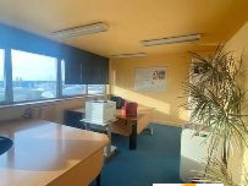 Location - Local d'activité 1739m² - Sotteville-lès-rouen